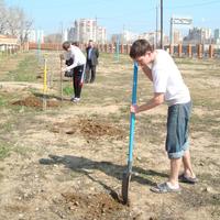 Электропрофсоюз – за сохранение энергии леса!